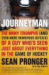 Journeyman (eBook, ePUB) - Bild 1