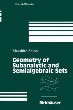 Cover Geometry of Subanalytic and Semialgebraic Sets (eBook, PDF)