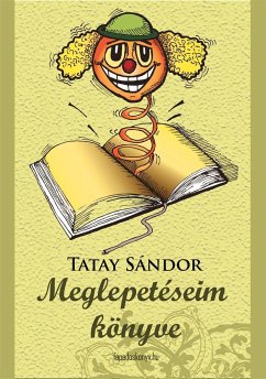 Meglepetéseim könyve (eBook, ePUB) - Tatay, Sándor