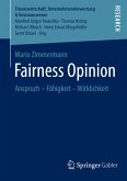 Fairness Opinion (eBook, PDF)