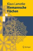 Riemannsche Flächen (eBook, PDF)
