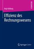 Effizienz des Rechnungswesens (eBook, PDF)