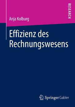 Effizienz des Rechnungswesens (eBook, PDF) - Kolburg, Anja