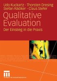 Qualitative Evaluation (eBook, PDF)