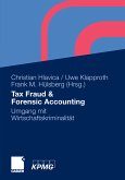 Tax Fraud & Forensic Accounting (eBook, PDF)