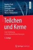 Teilchen und Kerne (eBook, PDF)
