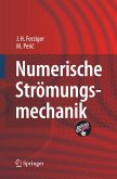 Numerische Strömungsmechanik (eBook, PDF)