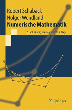 Numerische Mathematik (eBook, PDF) - Schaback, Robert; Wendland, Holger