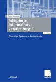 Integrierte Informationsverarbeitung 1 (eBook, PDF)