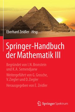 Springer-Handbuch der Mathematik III (eBook, PDF)