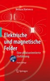 Elektrische und magnetische Felder (eBook, PDF)