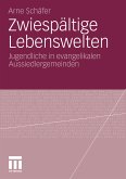 Zwiespältige Lebenswelten (eBook, PDF)