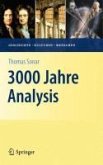 3000 Jahre Analysis (eBook, PDF)