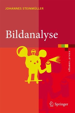 Bildanalyse (eBook, PDF) - Steinmüller, Johannes