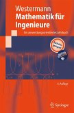 Mathematik für Ingenieure (eBook, PDF)