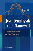 Quantenphysik in der Nanowelt (eBook, PDF)