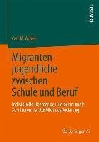 Migrantenjugendliche zwischen Schule und Beruf (eBook, PDF) - Aybek, Can M.