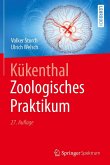 Kükenthal - Zoologisches Praktikum (eBook, PDF)
