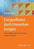 Energieeffizienz durch Erneuerbare Energien (eBook, PDF)