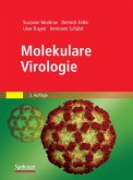 Molekulare Virologie (eBook, PDF)