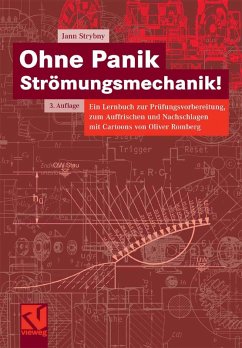 Ohne Panik Strömungsmechanik! (eBook, PDF) - Strybny, Jann