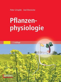 Pflanzenphysiologie (eBook, PDF) - Schopfer, Peter; Brennicke, Axel