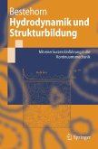 Hydrodynamik und Strukturbildung (eBook, PDF)