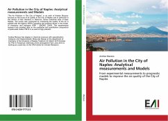 Cover Air Pollution in the City of Naples: Analytical measurements and Models