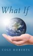 What If - Bild 1