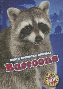 Raccoons - Bowman, Chris