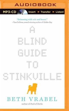 A Blind Guide to Stinkville - Vrabel, Beth