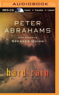 Hard Rain - Abrahams, Peter