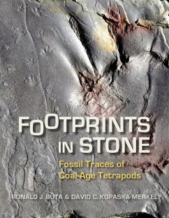 Footprints in Stone: Fossil Traces of Coal-Age Tetrapods - Buta, Ronald J.; Kopaska-Merkel, David C.