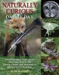 Naturally Curious Day by Day: A Photographic Field Guide and Daily Visit to the Forests, Fields, and Wetlands of Eastern North Ame