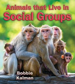 Animals That Live in Social Groups - Kalman, Bobbie