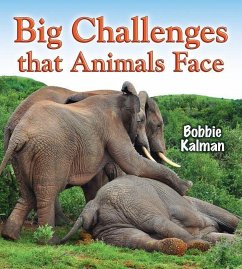 Big Challenges That Animals Face - Kalman, Bobbie