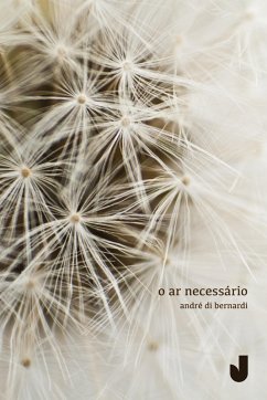 O ar necessário (eBook, ePUB) - Di Bernardi, André