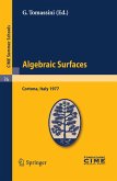 Algebraic Surfaces (eBook, PDF)