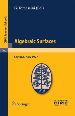 Algebraic Surfaces (eBook, PDF)