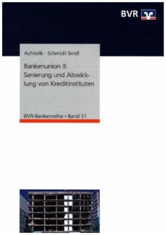 Bankenunion II: Sanierung und Abwicklung von Kreditinstituten - Schmidt-Seidl, Jan;Achtelik, Olaf