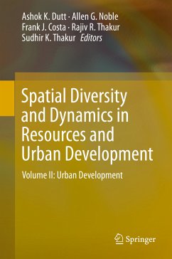 Spatial Diversity and Dynamics in Resources and Urban Development (eBook, PDF)