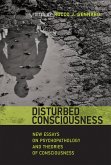 Disturbed Consciousness (eBook, ePUB)