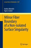 Milnor Fiber Boundary of a Non-isolated Surface Singularity (eBook, PDF)