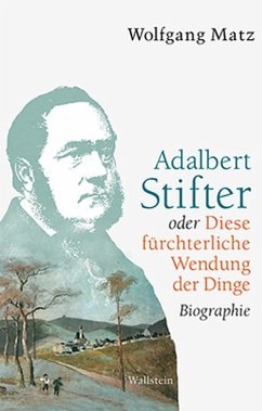 Adalbert Stifter oder Diese fürchterliche Wendung der Dinge - Matz, Wolfgang