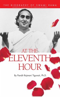 Cover At the Eleventh Hour (eBook, ePUB)