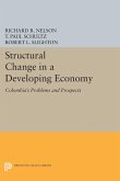 Structural Change in a Developing Economy (eBook, PDF)