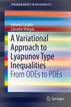 A Variational Approach to Lyapunov Type Inequalities (eBook, PDF) - Cañada, Antonio; Villegas, Salvador