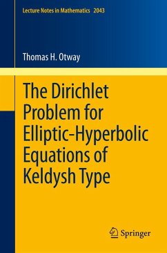 The Dirichlet Problem for Elliptic-Hyperbolic Equations of Keldysh Type (eBook, PDF) - Otway, Thomas H.