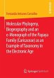Molecular Phylogeny, Biogeography and... - Bild 1