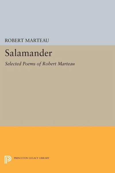 Salamander (eBook, PDF)